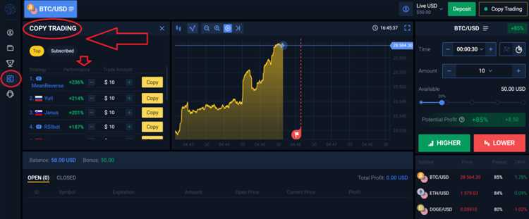 Binary option no deposit bonus