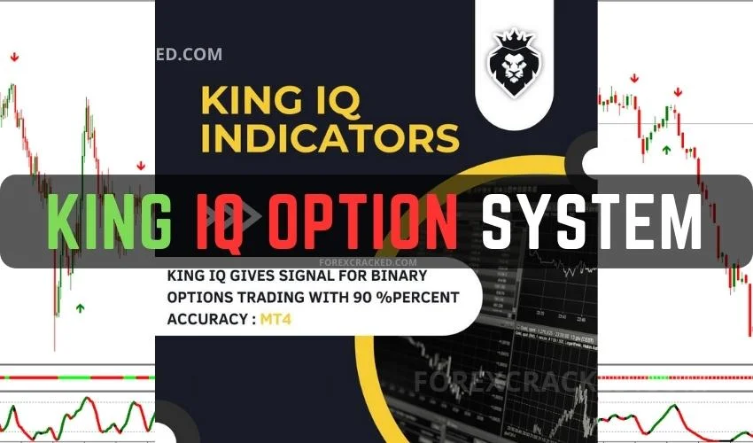 Binary option trading course free