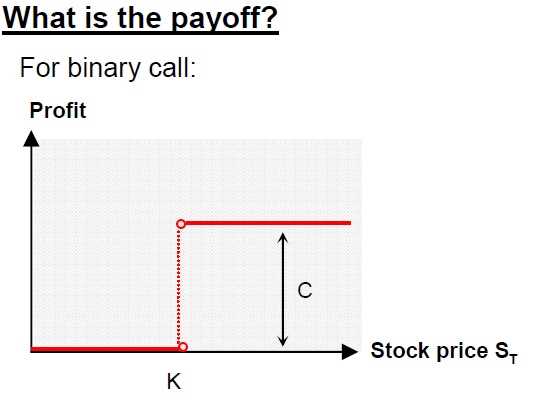 Binary put option