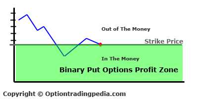 Binary put option