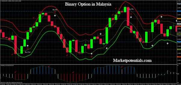 Option field binary