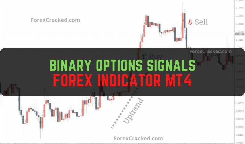 Signal binary option gratis