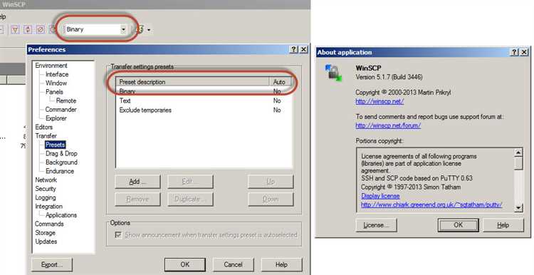 Winscp option transfer binary